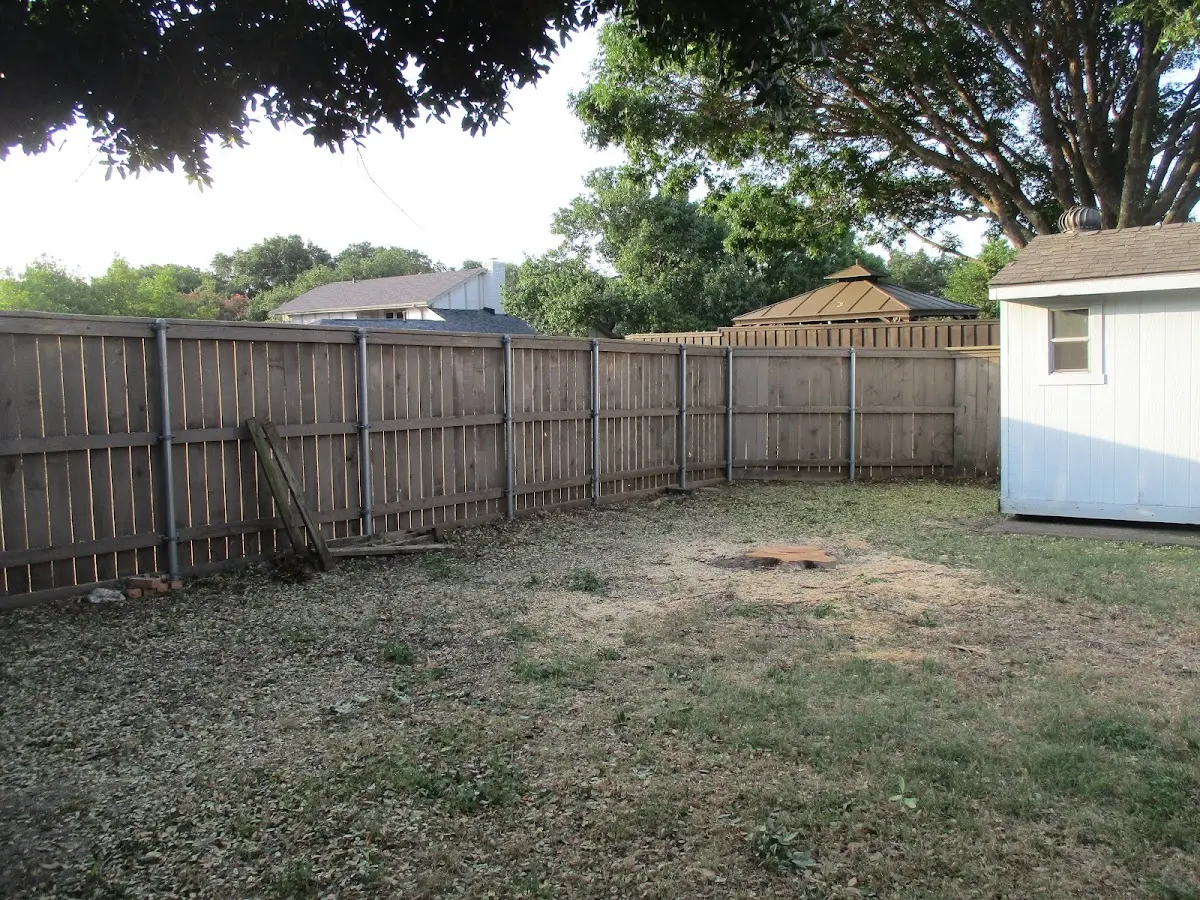 Cleared yard after professional tree removal in Paden City