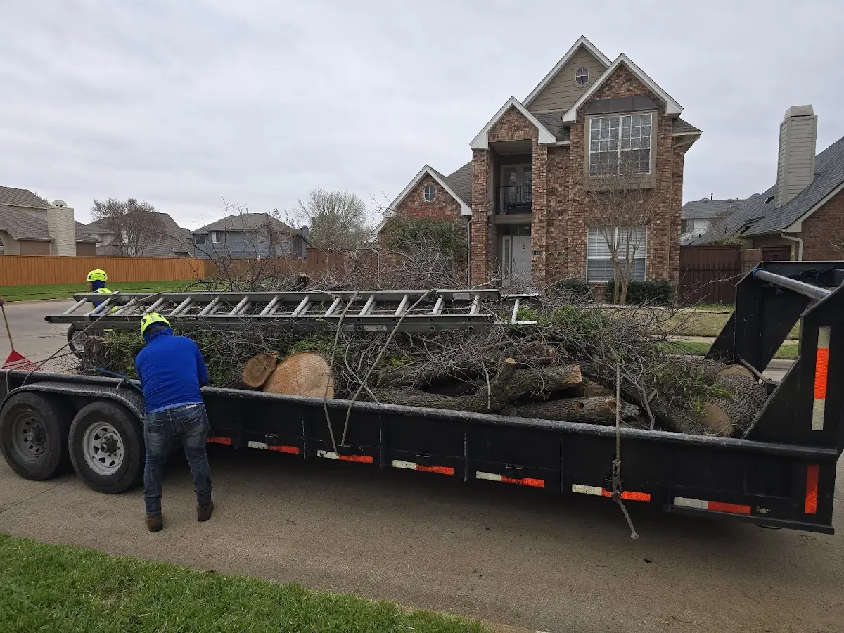 Expert Tree Pest Control with proper safety equipment in Paden City